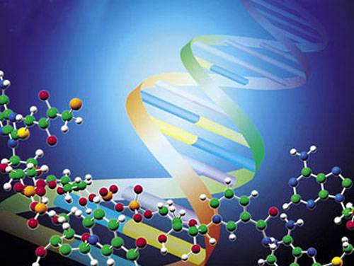 基因工程与分子生物学的进展及展望